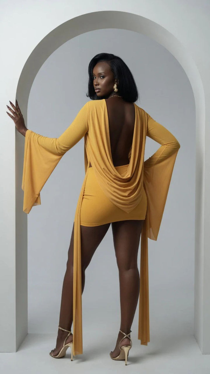 Mesh Cowl-Neck Long Sleeve Mini Dress
