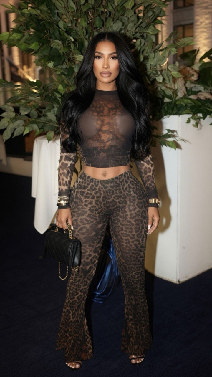 Leopard Print Sheer Mesh Long Sleeve Crop Top and Flare Pants Set